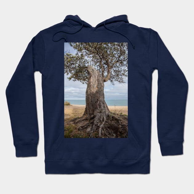 Dromana Beach, Dromana, Mornington Peninsula, Victoria, Australia Hoodie by VickiWalsh